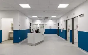 004 chase farm hospital LR